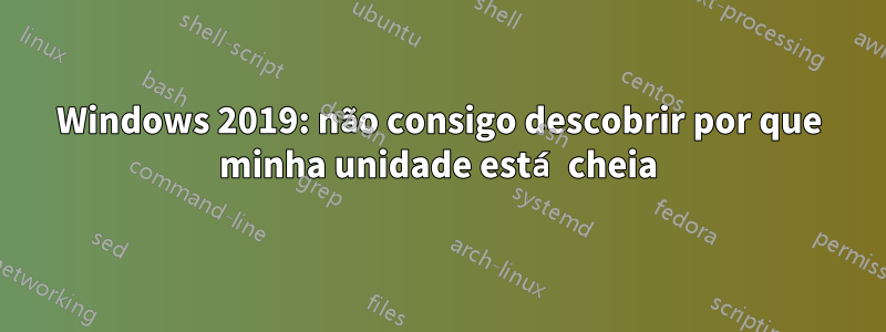 Windows 2019: não consigo descobrir por que minha unidade está cheia