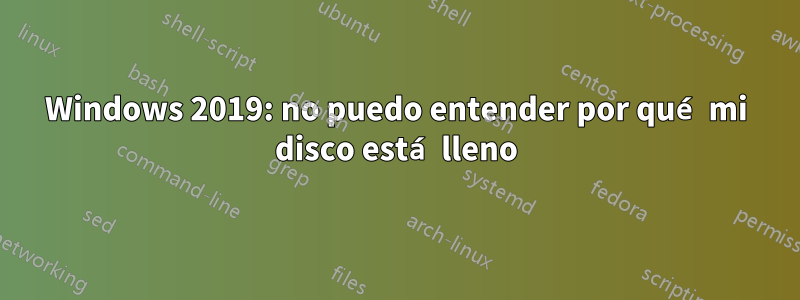 Windows 2019: no puedo entender por qué mi disco está lleno