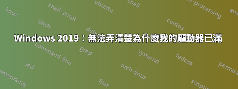 Windows 2019：無法弄清楚為什麼我的驅動器已滿