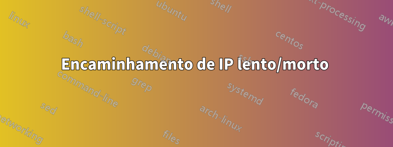 Encaminhamento de IP lento/morto