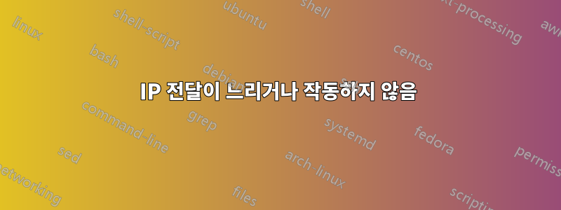 IP 전달이 느리거나 작동하지 않음