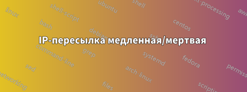 IP-пересылка медленная/мертвая