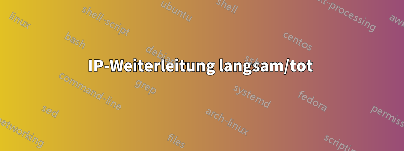 IP-Weiterleitung langsam/tot