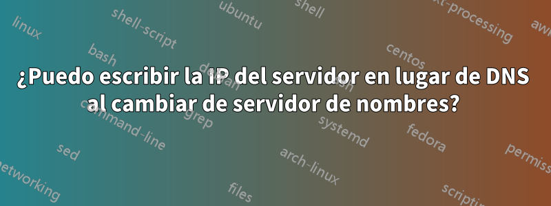 ¿Puedo escribir la IP del servidor en lugar de DNS al cambiar de servidor de nombres?