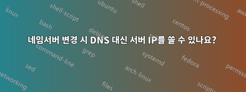 네임서버 변경 시 DNS 대신 서버 IP를 쓸 수 있나요?