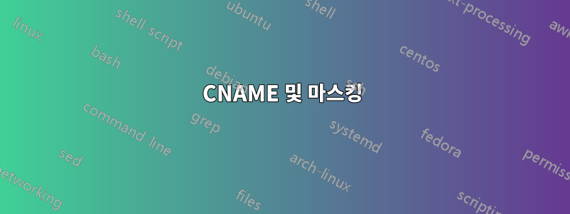 CNAME 및 마스킹