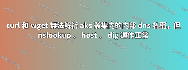 curl 和 wget 無法解析 aks 叢集內的內部 dns 名稱，但 nslookup 、 host 、 dig 運作正常