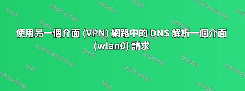 使用另一個介面 (VPN) 網路中的 DNS 解析一個介面 (wlan0) 請求