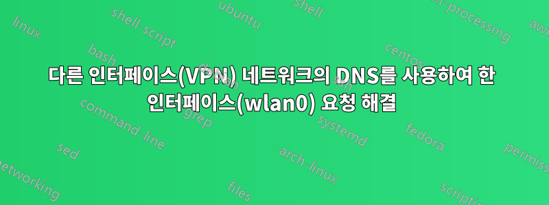 다른 인터페이스(VPN) 네트워크의 DNS를 사용하여 한 인터페이스(wlan0) 요청 해결