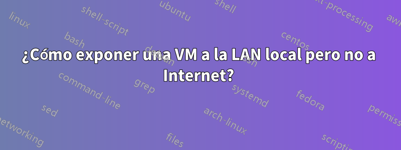 ¿Cómo exponer una VM a la LAN local pero no a Internet?