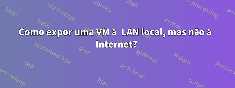 Como expor uma VM à LAN local, mas não à Internet?