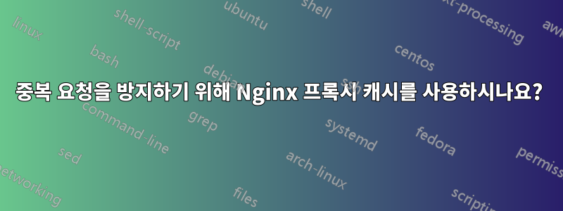 중복 요청을 방지하기 위해 Nginx 프록시 캐시를 사용하시나요?