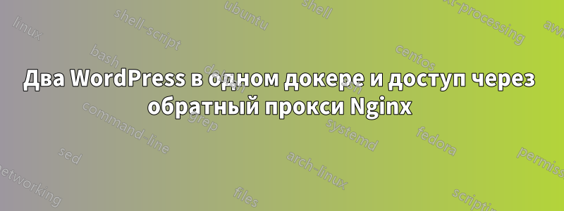 Два WordPress в одном докере и доступ через обратный прокси Nginx