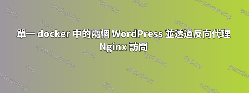 單一 docker 中的兩個 WordPress 並透過反向代理 Nginx 訪問