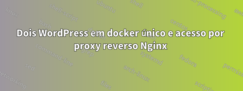 Dois WordPress em docker único e acesso por proxy reverso Nginx
