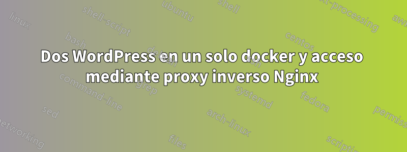 Dos WordPress en un solo docker y acceso mediante proxy inverso Nginx