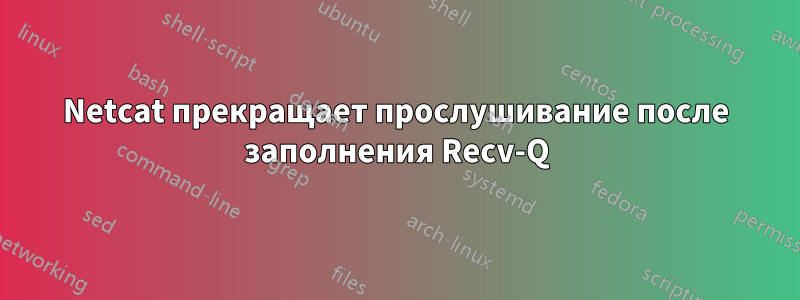 Netcat прекращает прослушивание после заполнения Recv-Q