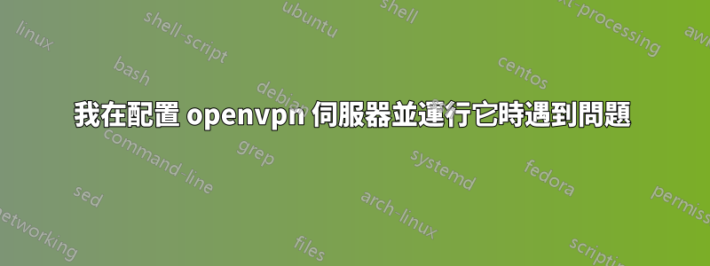 我在配置 openvpn 伺服器並運行它時遇到問題