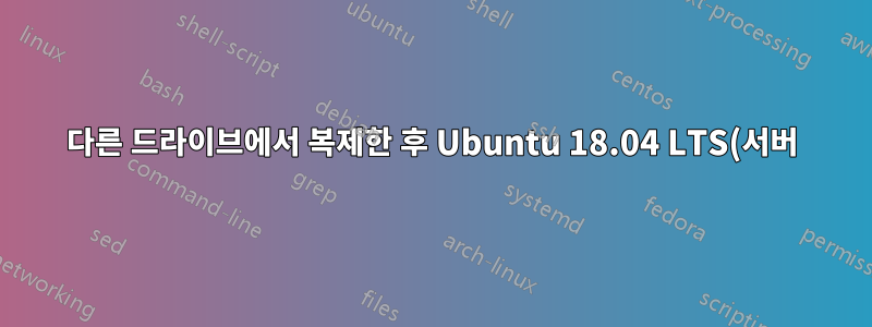 다른 드라이브에서 복제한 후 Ubuntu 18.04 LTS(서버) 부팅 문제