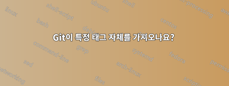 Git이 특정 태그 자체를 가져오나요?