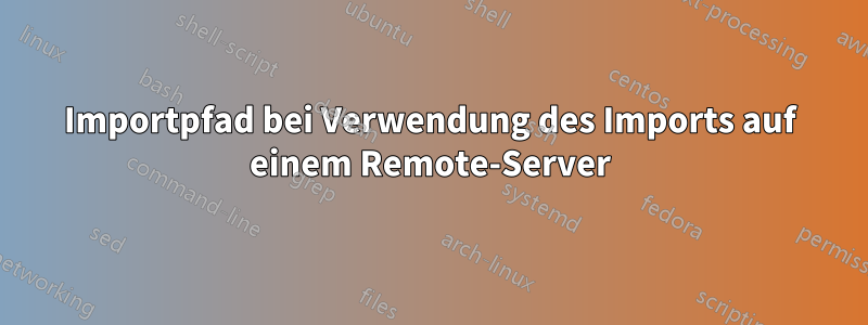 Importpfad bei Verwendung des Imports auf einem Remote-Server