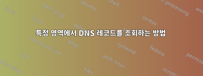 특정 영역에서 DNS 레코드를 조회하는 방법