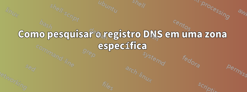 Como pesquisar o registro DNS em uma zona específica