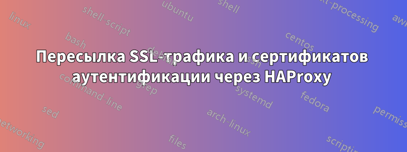 Пересылка SSL-трафика и сертификатов аутентификации через HAProxy
