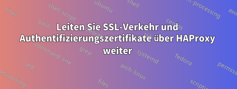Leiten Sie SSL-Verkehr und Authentifizierungszertifikate über HAProxy weiter