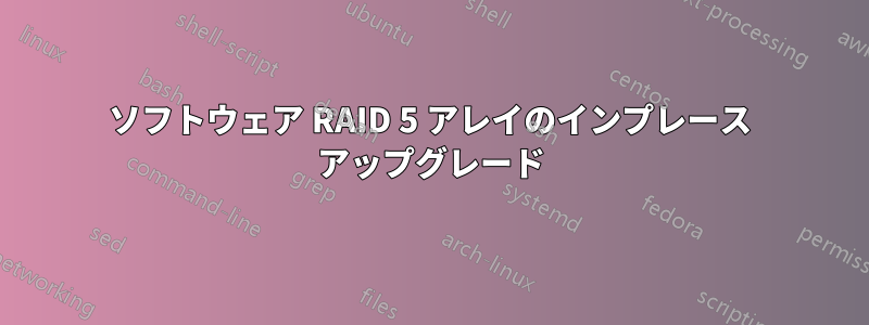ソフトウェア RAID 5 アレイのインプレース アップグレード