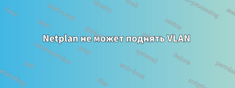 Netplan не может поднять VLAN