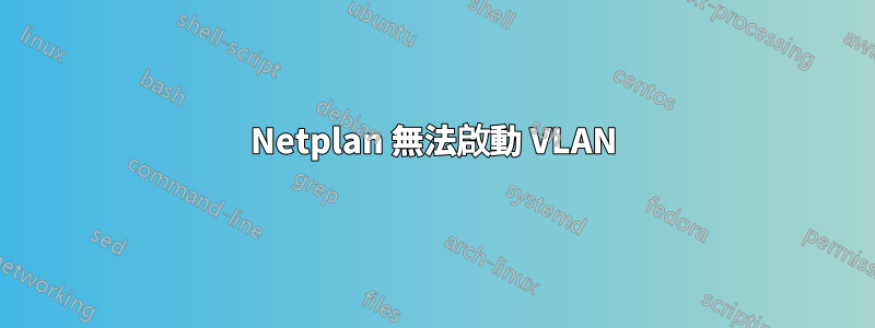 Netplan 無法啟動 VLAN