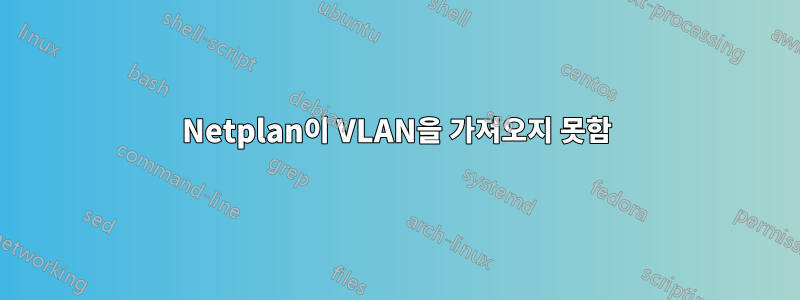Netplan이 VLAN을 가져오지 못함