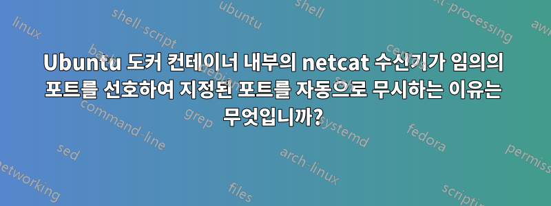 Ubuntu 도커 컨테이너 내부의 netcat 수신기가 임의의 포트를 선호하여 지정된 포트를 자동으로 무시하는 이유는 무엇입니까?