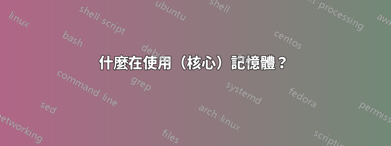 什麼在使用（核心）記憶體？