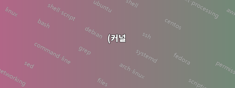 (커널) 메모리를 사용한다는 것은 무엇입니까?
