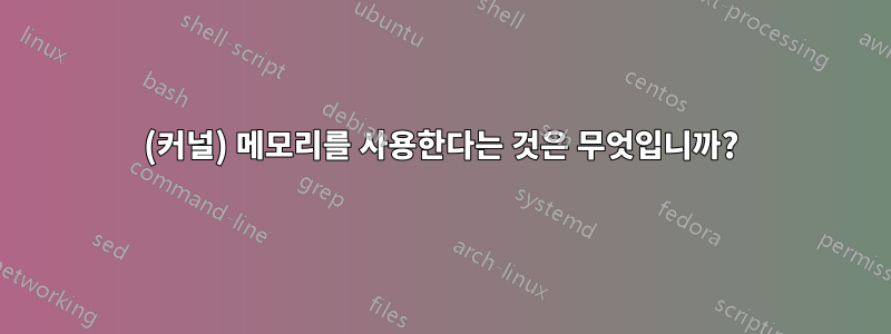 (커널) 메모리를 사용한다는 것은 무엇입니까?