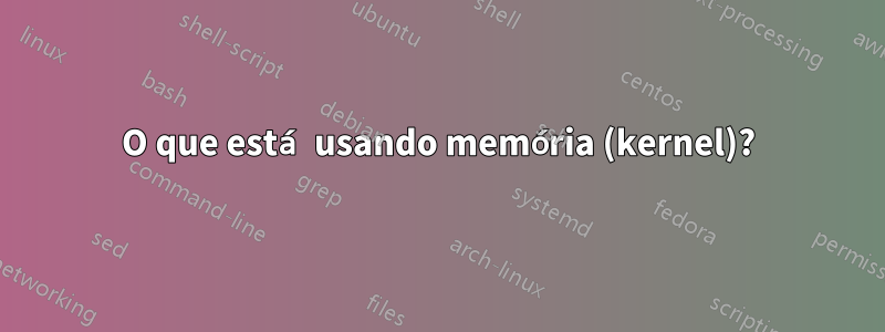 O que está usando memória (kernel)?