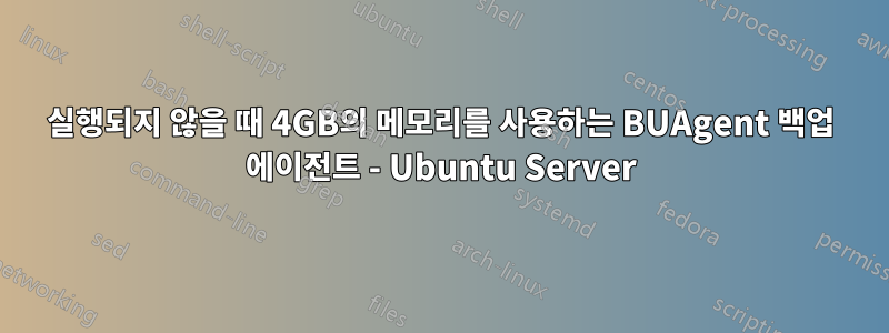 실행되지 않을 때 4GB의 메모리를 사용하는 BUAgent 백업 에이전트 - Ubuntu Server