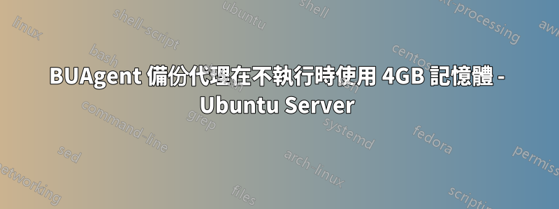 BUAgent 備份代理在不執行時使用 4GB 記憶體 - Ubuntu Server