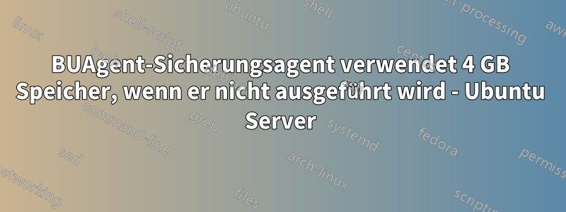 BUAgent-Sicherungsagent verwendet 4 GB Speicher, wenn er nicht ausgeführt wird - Ubuntu Server