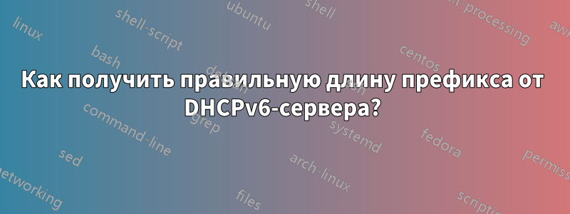 Как получить правильную длину префикса от DHCPv6-сервера?