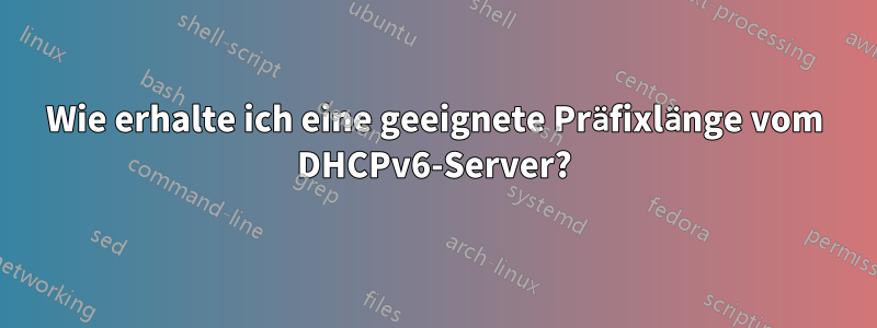 Wie erhalte ich eine geeignete Präfixlänge vom DHCPv6-Server?