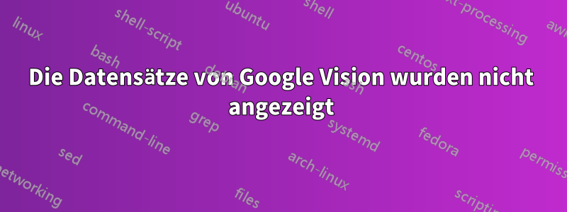 Die Datensätze von Google Vision wurden nicht angezeigt