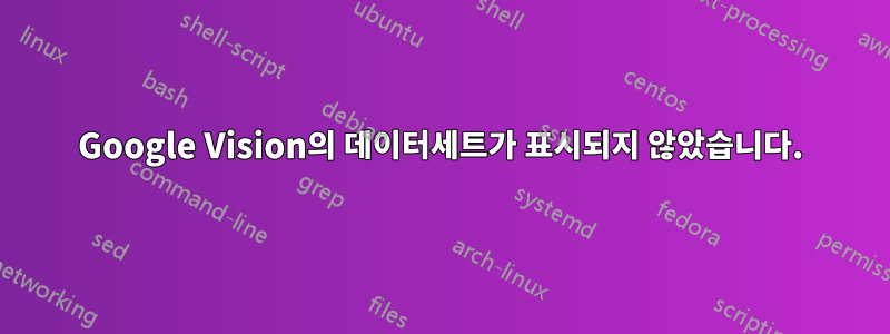 Google Vision의 데이터세트가 표시되지 않았습니다.