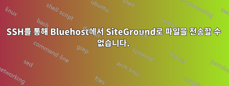 SSH를 통해 Bluehost에서 SiteGround로 파일을 전송할 수 없습니다.