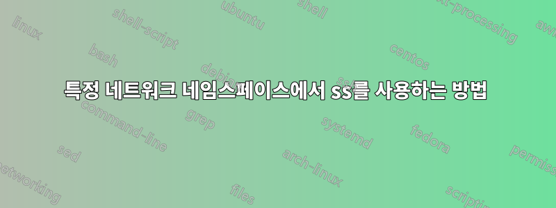 특정 네트워크 네임스페이스에서 ss를 사용하는 방법