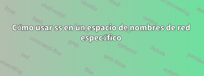 Cómo usar ss en un espacio de nombres de red específico