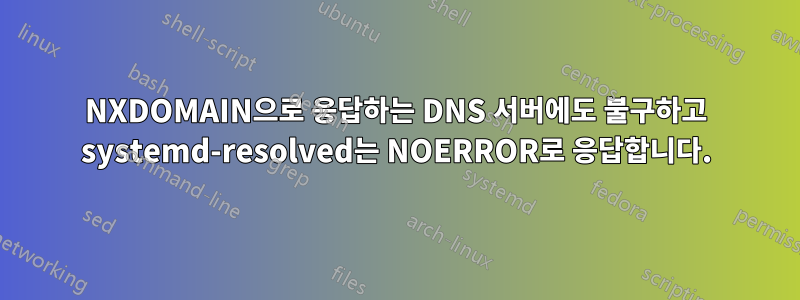 NXDOMAIN으로 응답하는 DNS 서버에도 불구하고 systemd-resolved는 NOERROR로 응답합니다.