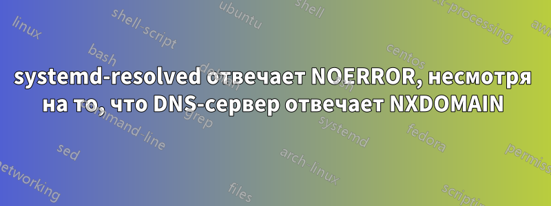 systemd-resolved отвечает NOERROR, несмотря на то, что DNS-сервер отвечает NXDOMAIN